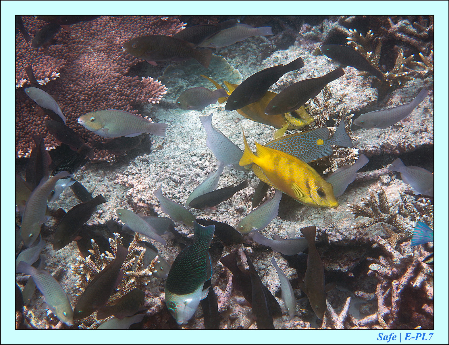 2015   07   Peranthian Islands 34